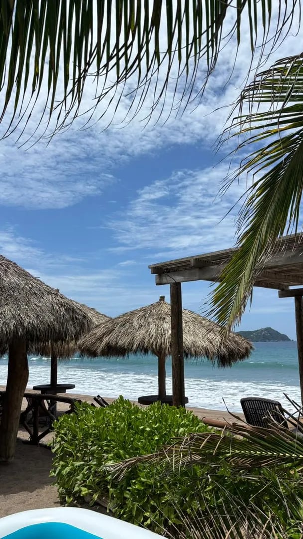Hamaca, palmeras y vista de la playa de Aramar